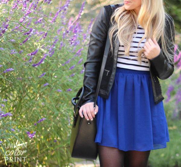 Cobalt + Stripes | Living In Color Print