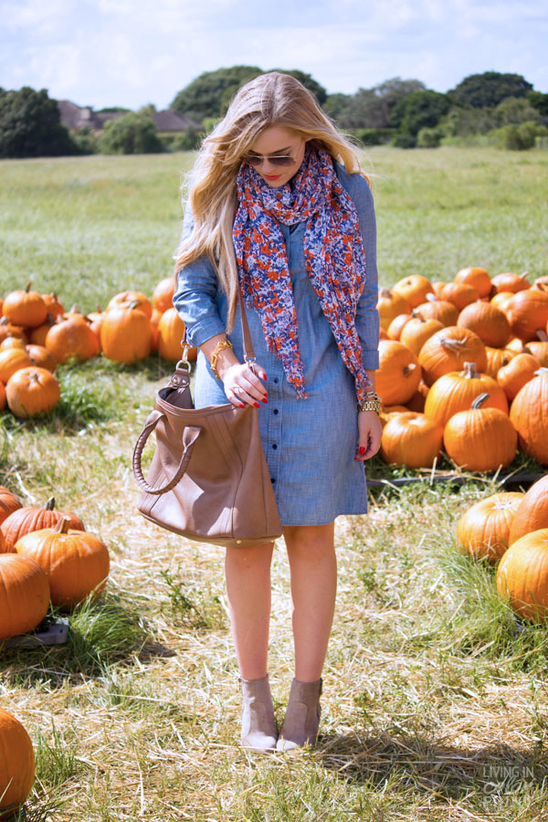 Pumpkin Patch | Living In Color Print