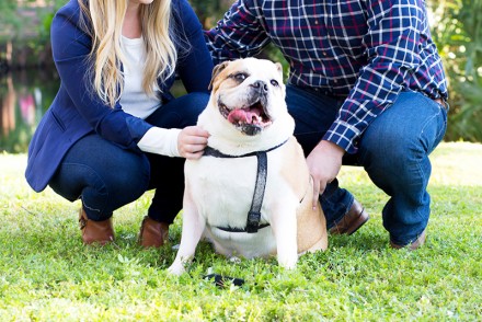 Newly Engaged Christmas Cards, 1st Christmas Cards